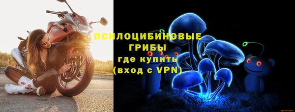 ECSTASY Горняк