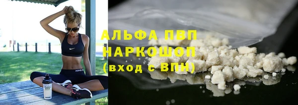 ECSTASY Горняк