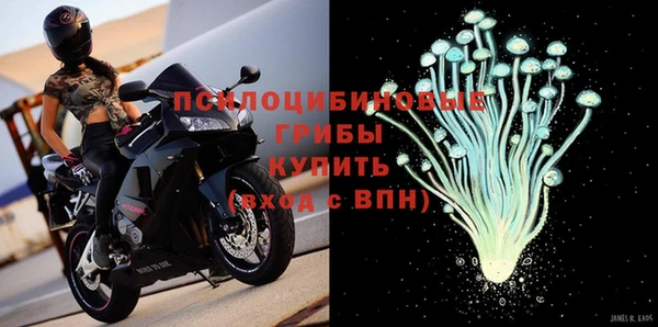 ECSTASY Горняк