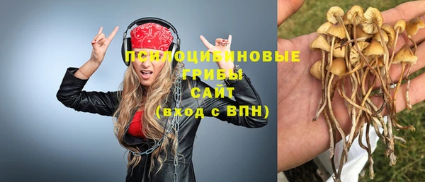 амфетамин Гусь-Хрустальный