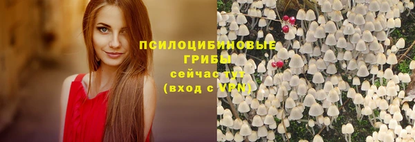 кристаллы Гусев